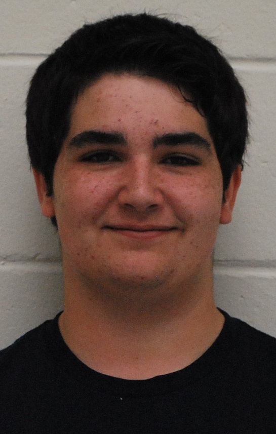 ​Three seniors at Nashoba Tech have been named student representatives to the district’s School Committee.